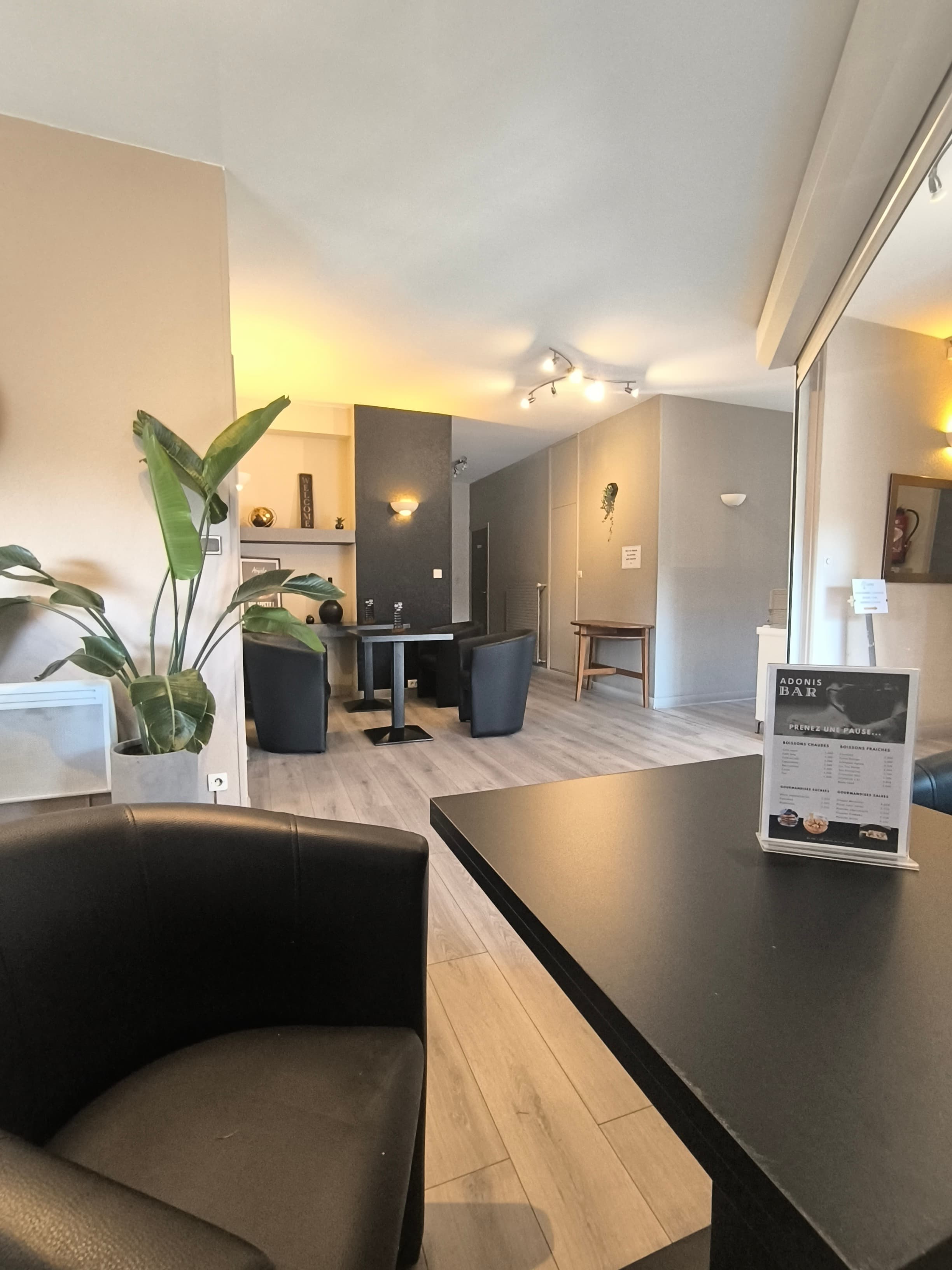 Adonis Lyon Est Artys Hotel