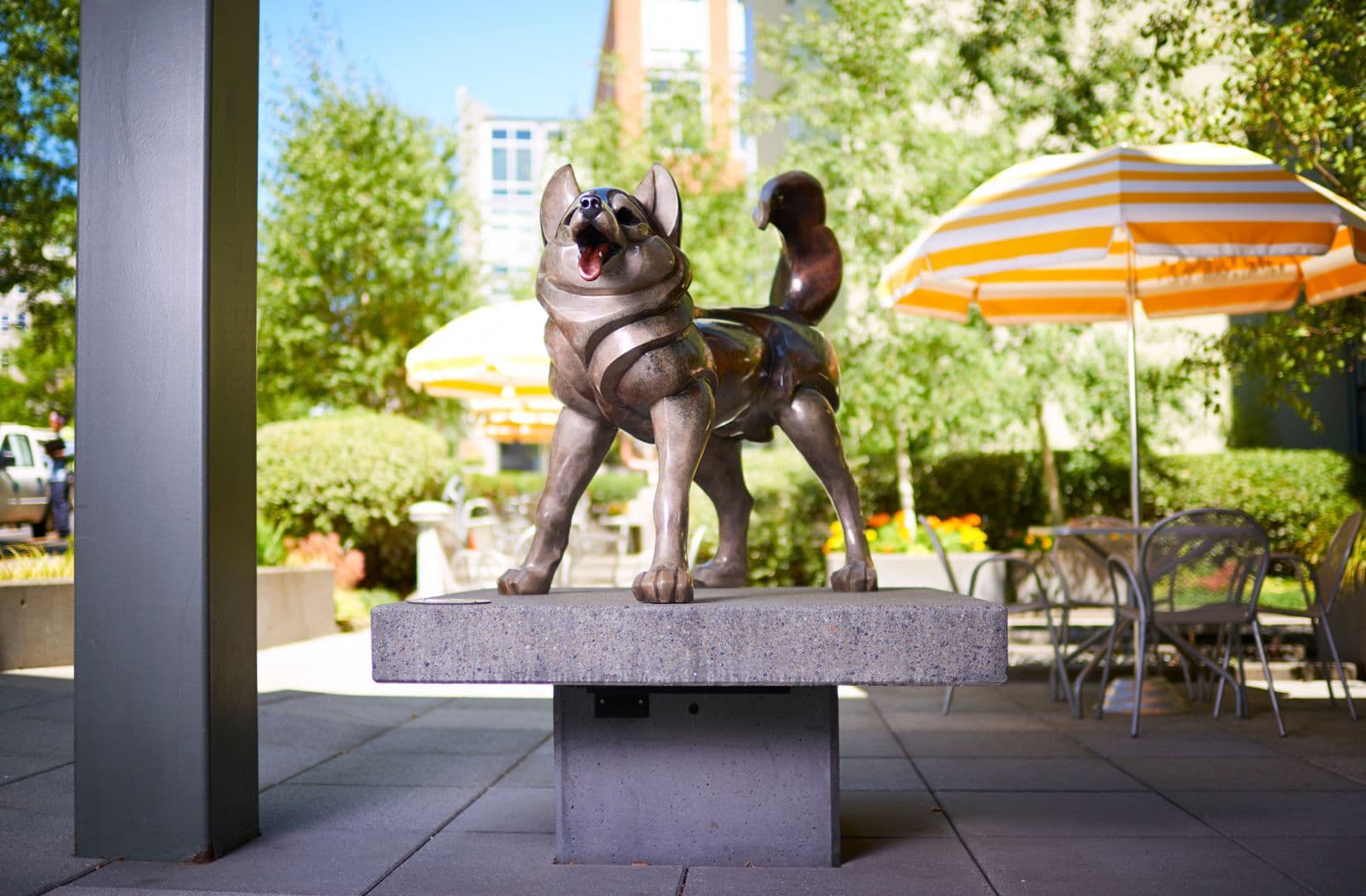 Staypineapple, Watertown, University District Seattle